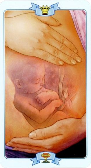 Emprunter Law of attraction tarot livre