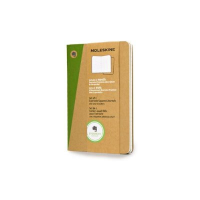Emprunter CAHIER EVERNOTE SET DE 2 QUADRILLE FORMAT DE POCHE AVANA livre