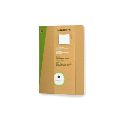 Emprunter CAHIER EVERNOTE SET DE 2 LIGNE TRES GRAND FORMAT AVANA livre