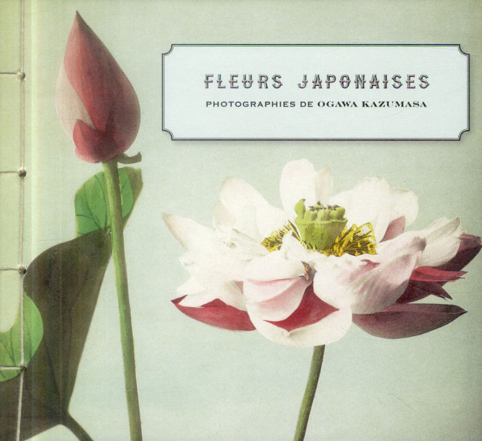 Emprunter Fleurs japonaises livre