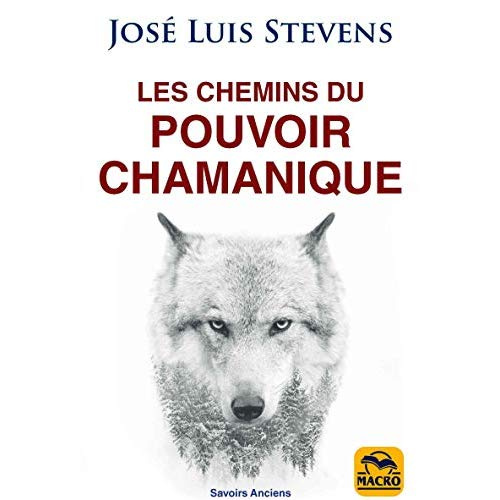 Emprunter Les chemins du pouvoir chamanique livre