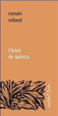 Emprunter L'éclair de Spinoza livre