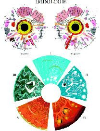 Emprunter IRIDOLOGIE livre