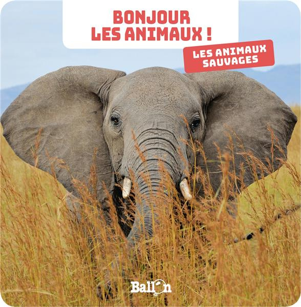 Emprunter Les animaux sauvages livre