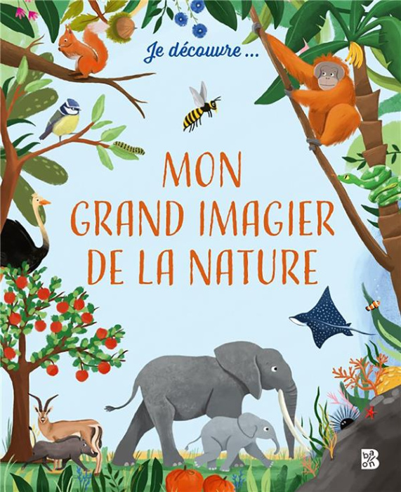 Emprunter JE DECOUVRE - GRAND IMAGIER livre