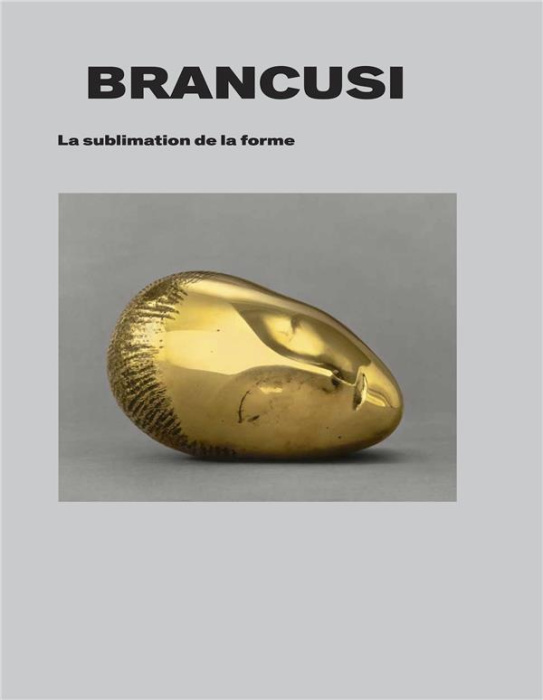 Emprunter Brancusi. La sublimation de la forme livre