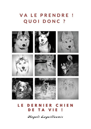 Emprunter Va le prendre ! Quoi donc ? Le dernier chien de ta vie ! livre