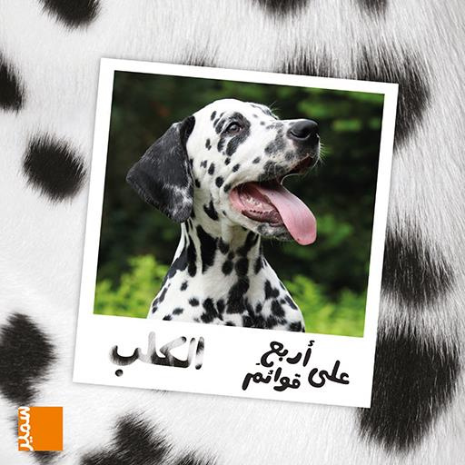 Emprunter Le chien (arabe) livre