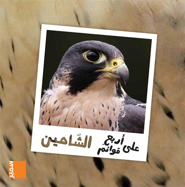 Emprunter LE FAUCON PELERIN (arabe) livre