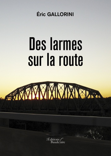 Emprunter Des larmes sur la route livre