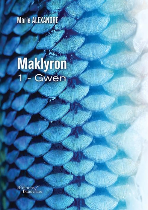 Emprunter Maklyron Tome 1 : Gwen livre