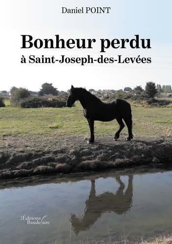 Emprunter Bonheur perdu à Saint-Joseph-des-Levées livre