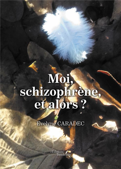 Emprunter Moi, schizophrène, et alors ? livre
