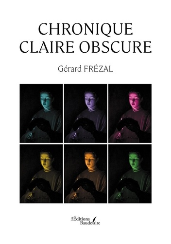 Emprunter L'ombre aux tableaux livre