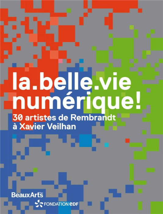 Emprunter La belle vie numérique ! 30 artistes de Rembrandt à Xavier Veilhan livre