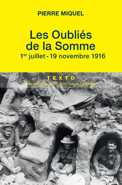 Emprunter Les oubliés de la Somme. Juillet-novembre 1916 livre