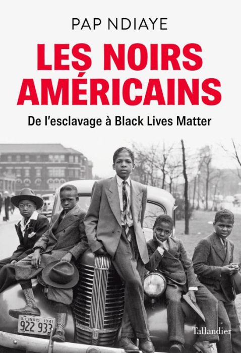 Emprunter Les noirs Américains. De l'esclavage à Black Lives Matter livre
