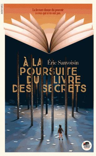 Emprunter A la poursuite du livre des secrets livre
