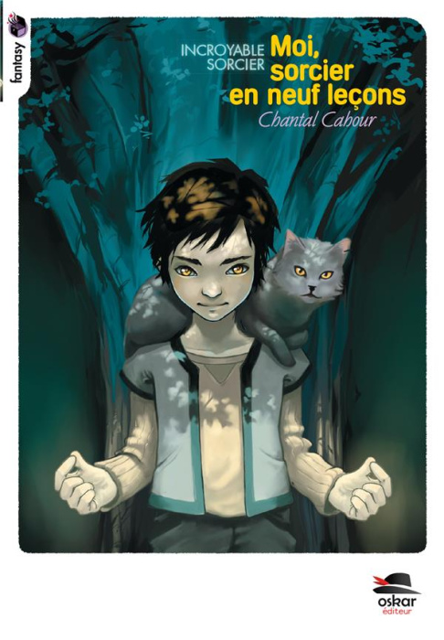 Emprunter Moi, sorcier en neuf lecons livre