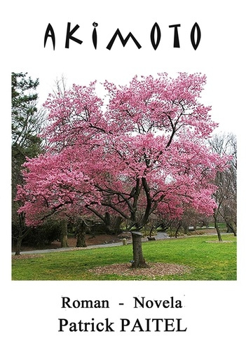 Emprunter Akimoto. Edition bilingue français-espagnol livre