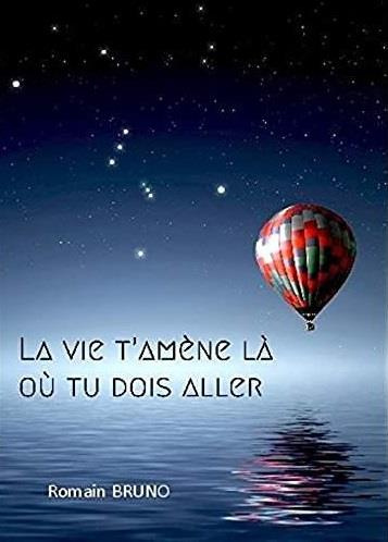 Emprunter La vie t'amène là où tu dois aller livre