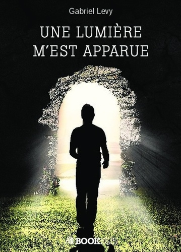 Emprunter Une lumière m'est apparue livre