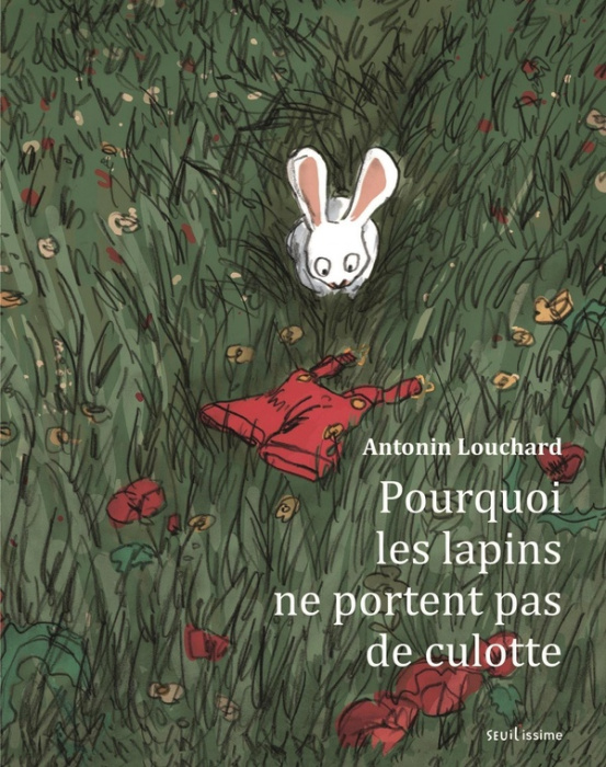 Emprunter Pourquoi les lapins ne portent pas de culotte livre
