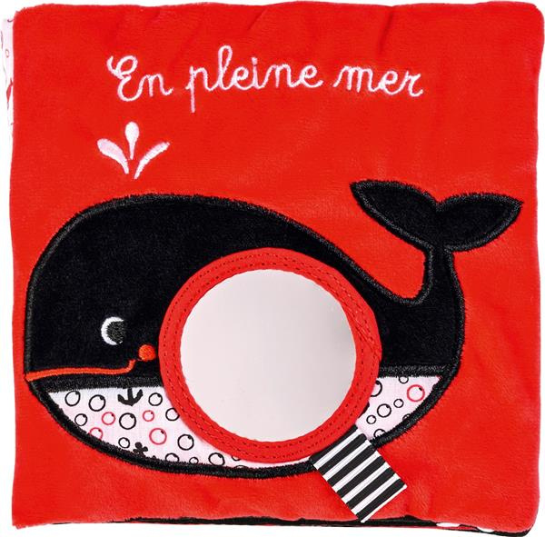 Emprunter En pleine mer livre