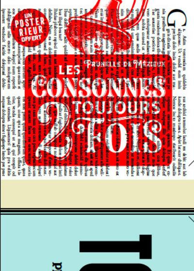 Emprunter Les consonnes toujours 2 fois. Un poster offert livre