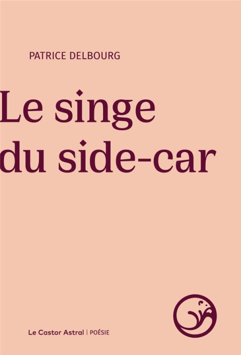 Emprunter Le singe du side-car livre