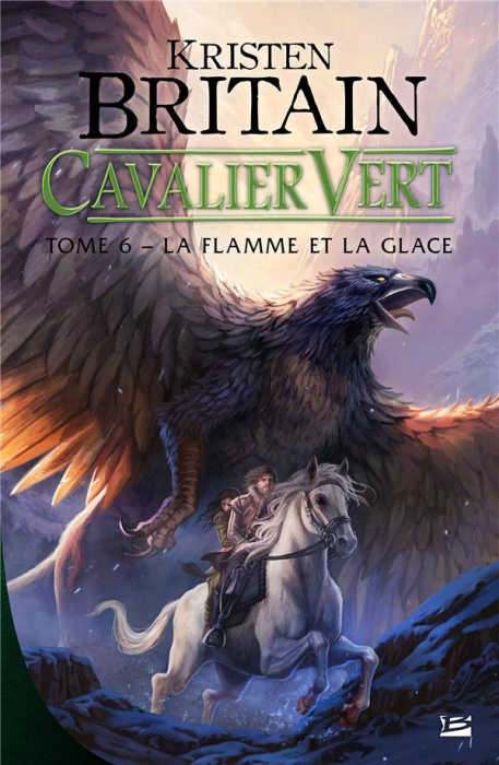 Emprunter Cavalier Vert Tome 6 : La Flamme et la glace livre