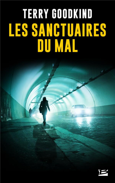 Emprunter Les sanctuaires du mal livre