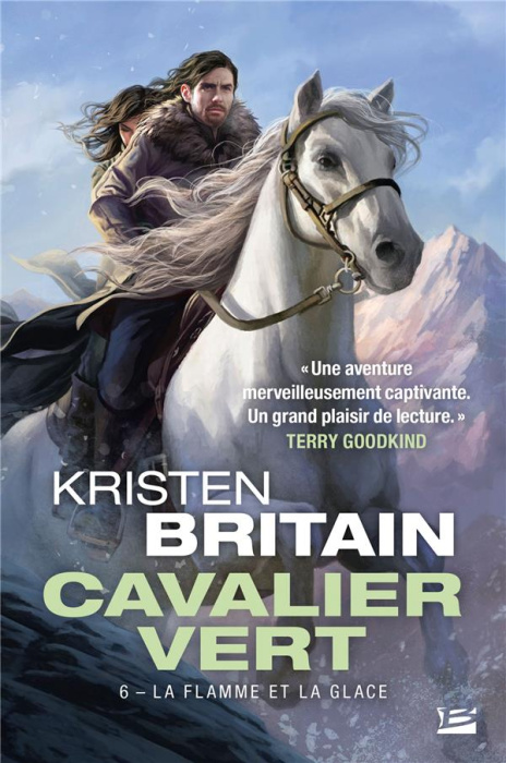 Emprunter Cavalier Vert Tome 6 : La Flamme et la glace livre