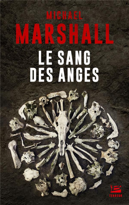 Emprunter Le Sang des anges livre