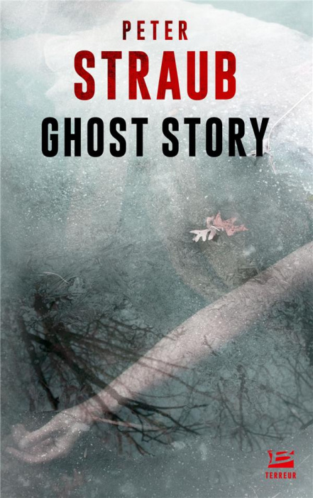 Emprunter Ghost Story livre