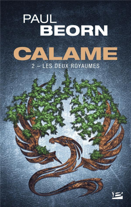 Emprunter Calame Tome 2 : Les Deux Royaumes livre