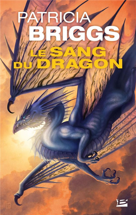 Emprunter Hurog Tome 2 : Le dang du dragon livre
