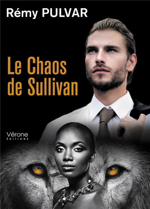 Emprunter Le chaos de Sullivan livre