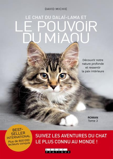 Emprunter Le chat du dalaï-lama Tome 3 : Le chat du dalaï-lama et le pouvoir du miaou livre
