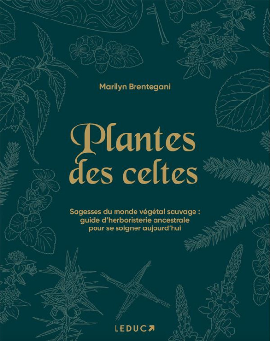 Emprunter Plantes des Celtes. Sagesses du monde végétal sauvage : guide d'herboristerie ancestrale pour se soi livre