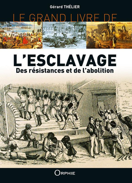 Emprunter Le grand livre de l'esclavage. Des résistances et de l'abolition livre