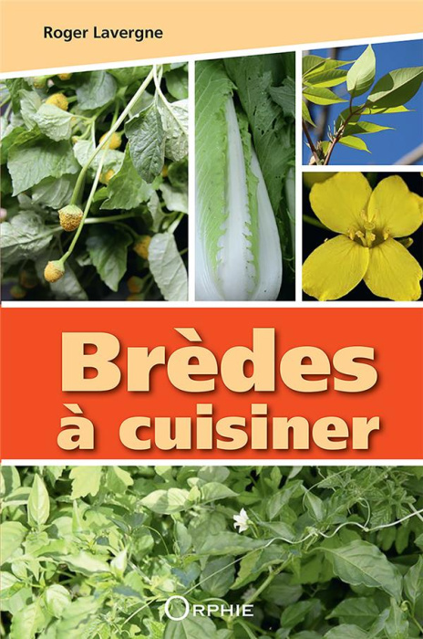 Emprunter Bredes a cuisiner livre