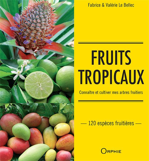Emprunter Fruits tropicaux. Connaître et cultiver mes arbres fruitiers livre