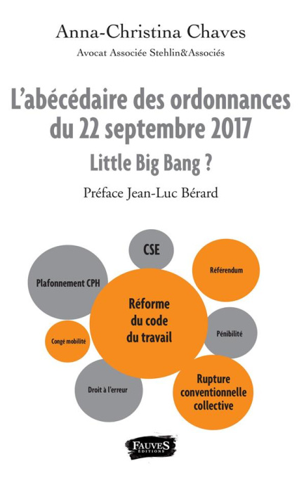Emprunter L'abécédaire des ordonnances du 22 septembre 2017. Little Big Bang ? livre