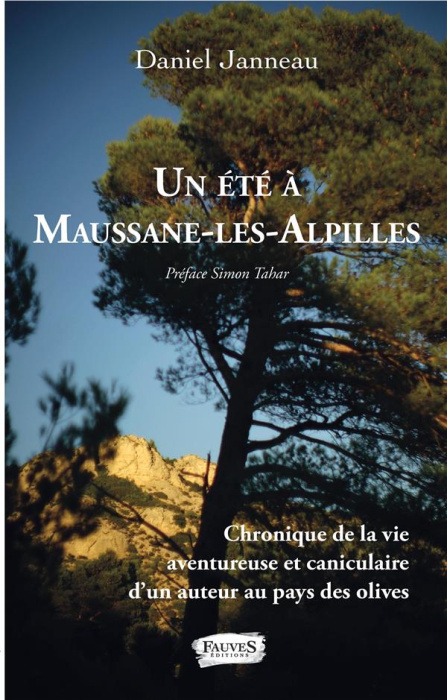 Emprunter Un été à Maussane-les-Alpilles livre