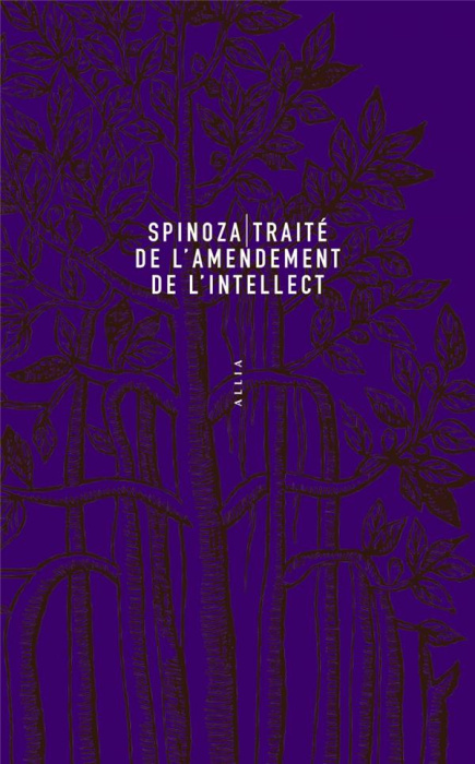 Emprunter Traite de l'amendement de l'intellect livre