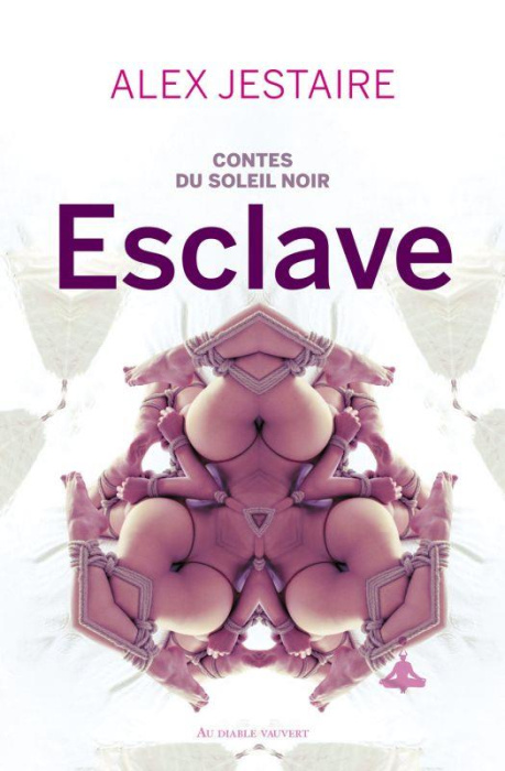 Emprunter Contes du soleil noir. Esclave livre