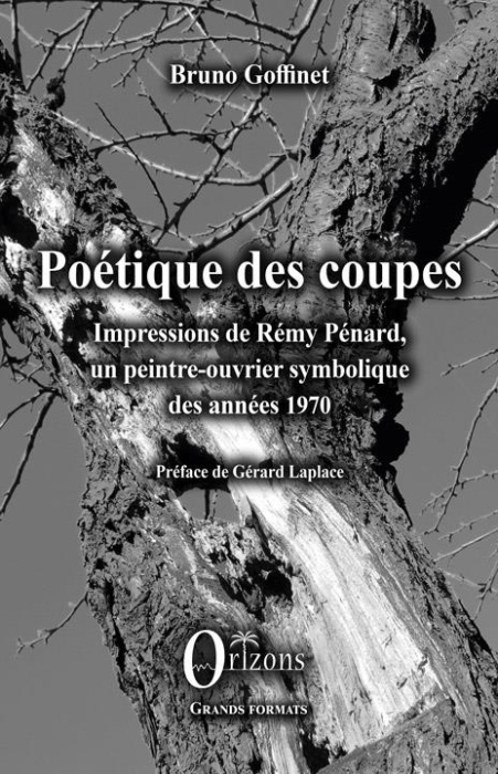 Emprunter Poétique des coupes. Impressions de Rémy Pénard, un peintre-ouvrier symbolique des années 1970 livre