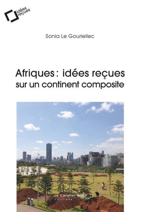 Emprunter Afriques : idées reçues sur un continent composite livre