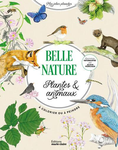 Emprunter Belle nature. Plantes & animaux. A colorier ou à peindre livre